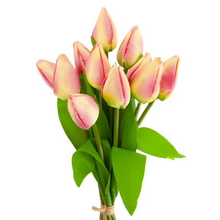 CV27025-2 kytice tulipánů, 12 rozkvetlých růžových květů