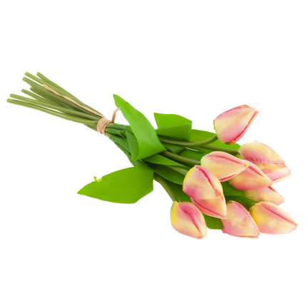 CV27025-2 kytice tulipánů, 12 rozkvetlých růžových květů