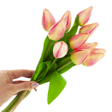 CV27025-2 kytice tulipánů, 12 rozkvetlých růžových květů