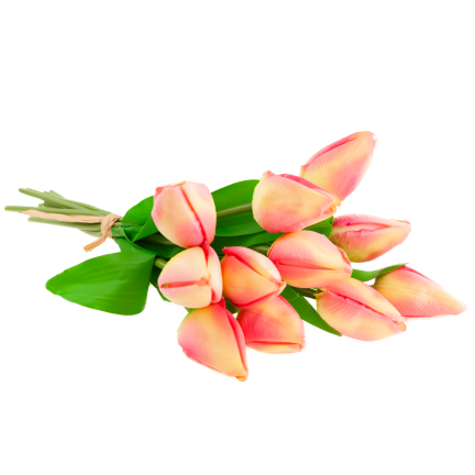 CV27025-2 kytice tulipánů, 12 rozkvetlých růžových květů