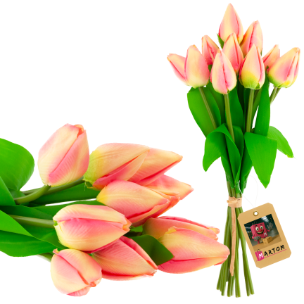 CV27025-2 kytice tulipánů, 12 rozkvetlých růžových květů
