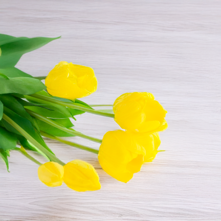 CV31218-4 kytice tulipánů z pěnové gumy, 5 ks, žlutá, perforovaná, realistická