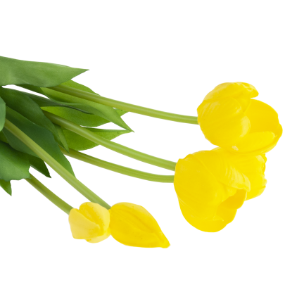 CV31218-4 kytice tulipánů z pěnové gumy, 5 ks, žlutá, perforovaná, realistická