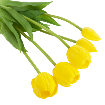 CV31218-4 kytice tulipánů z pěnové gumy, 5 ks, žlutá, perforovaná, realistická