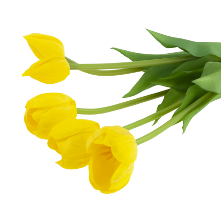 CV31218-4 kytice tulipánů z pěnové gumy, 5 ks, žlutá, perforovaná, realistická