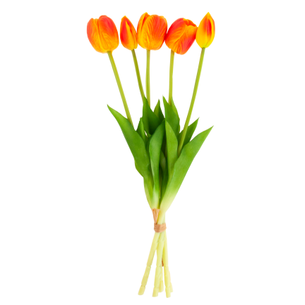 CV31218-5 kytice tulipánů z pěnové gumy, 5 ks, realistická, perforovaná, oranžová