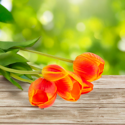 CV31218-5 kytice tulipánů z pěnové gumy, 5 ks, realistická, perforovaná, oranžová