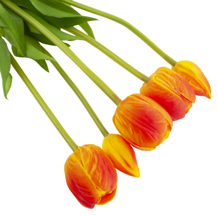 CV31218-5 kytice tulipánů z pěnové gumy, 5 ks, realistická, perforovaná, oranžová