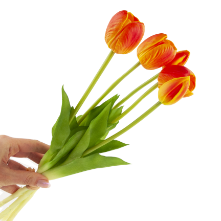 CV31218-5 kytice tulipánů z pěnové gumy, 5 ks, realistická, perforovaná, oranžová