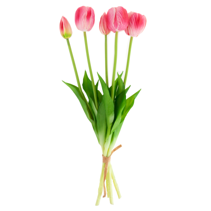 CV31218-7 kytice tulipánů z pěnové gumy, 5 ks, realistická, perforovaná, růžová