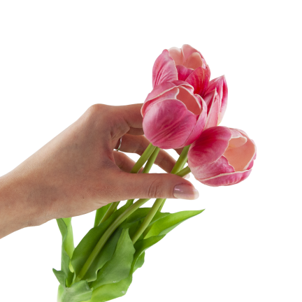 CV31218-7 kytice tulipánů z pěnové gumy, 5 ks, realistická, perforovaná, růžová
