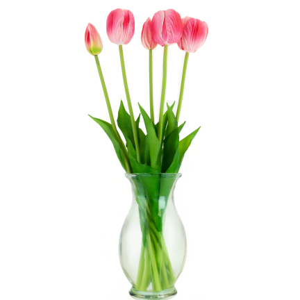 CV31218-7 kytice tulipánů z pěnové gumy, 5 ks, realistická, perforovaná, růžová