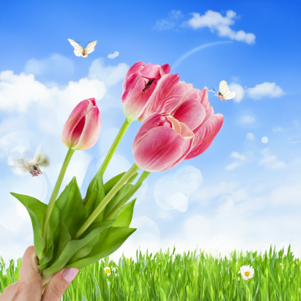 CV31218-7 kytice tulipánů z pěnové gumy, 5 ks, realistická, perforovaná, růžová