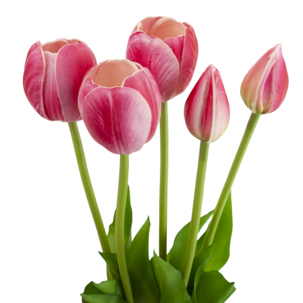 CV31218-7 kytice tulipánů z pěnové gumy, 5 ks, realistická, perforovaná, růžová
