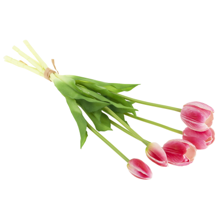 CV31218-7 kytice tulipánů z pěnové gumy, 5 ks, realistická, perforovaná, růžová
