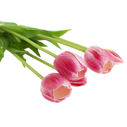 CV31218-7 kytice tulipánů z pěnové gumy, 5 ks, realistická, perforovaná, růžová