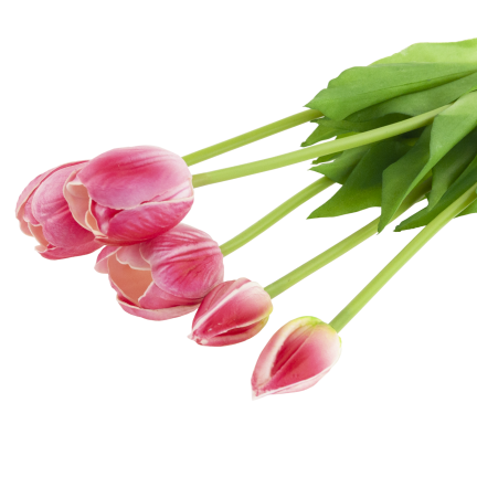 CV31218-7 kytice tulipánů z pěnové gumy, 5 ks, realistická, perforovaná, růžová
