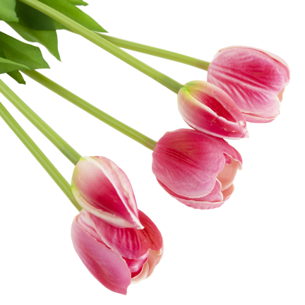 CV31218-7 kytice tulipánů z pěnové gumy, 5 ks, realistická, perforovaná, růžová