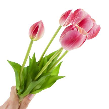 CV31218-7 kytice tulipánů z pěnové gumy, 5 ks, realistická, perforovaná, růžová