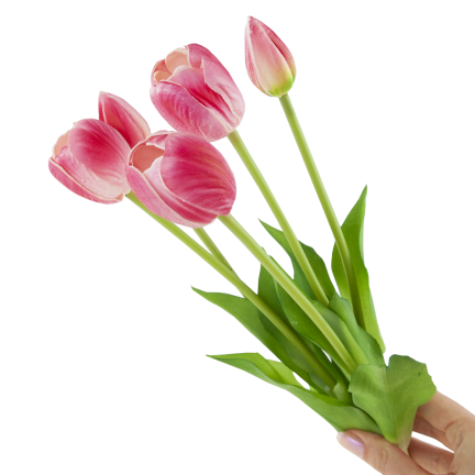CV31218-7 kytice tulipánů z pěnové gumy, 5 ks, realistická, perforovaná, růžová