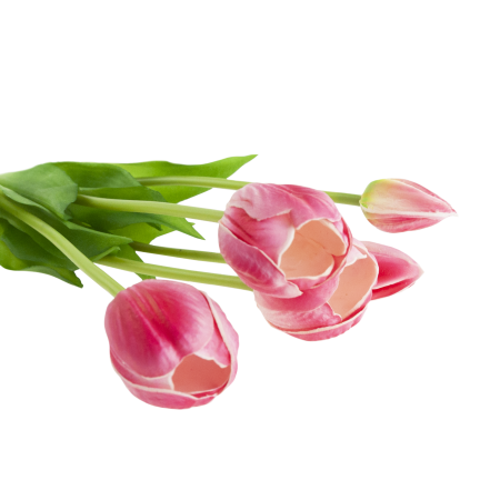 CV31218-7 kytice tulipánů z pěnové gumy, 5 ks, realistická, perforovaná, růžová