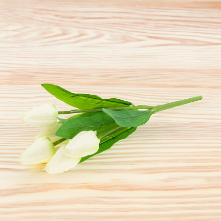 CV31225-1 tulipán, kytice tulipánů, krásná jako živé tulipány, bílé a ecru květy, X5