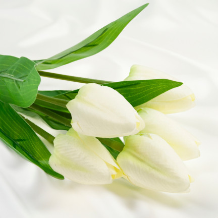 CV31225-1 tulipán, kytice tulipánů, krásná jako živé tulipány, bílé a ecru květy, X5