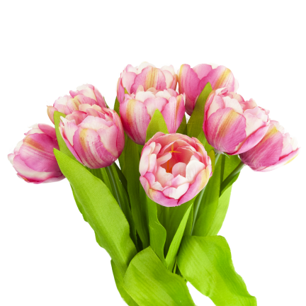 CV31227-4 kytice tulipánů X7, tmavě růžové, s pogumovanými stonky, hustá jarní kytice