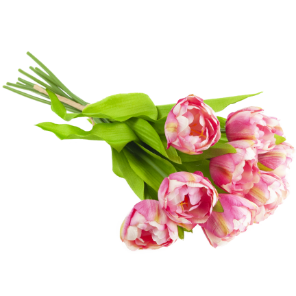 CV31227-4 kytice tulipánů X7, tmavě růžové, s pogumovanými stonky, hustá jarní kytice