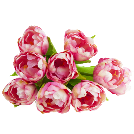 CV31227-4 kytice tulipánů X7, tmavě růžové, s pogumovanými stonky, hustá jarní kytice