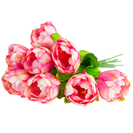 CV31227-4 kytice tulipánů X7, tmavě růžové, s pogumovanými stonky, hustá jarní kytice