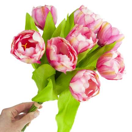 CV31227-4 kytice tulipánů X7, tmavě růžové, s pogumovanými stonky, hustá jarní kytice