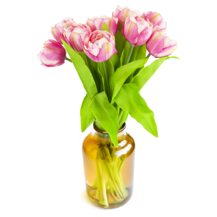 CV31227-4 kytice tulipánů X7, tmavě růžové, s pogumovanými stonky, hustá jarní kytice