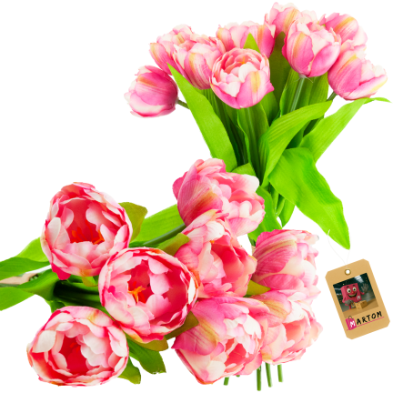 CV31227-4 kytice tulipánů X7, tmavě růžové, s pogumovanými stonky, hustá jarní kytice