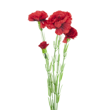 Větvička hřebíčků, kytice hřebíčků, umělé květiny, realistické, červené, 60 cm