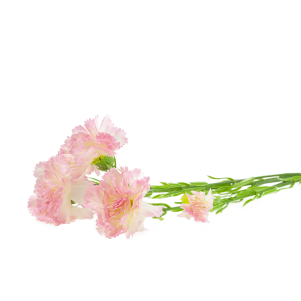 Větvička karafiátů, kytice karafiátů, umělé květiny, realistické, růžové, 60 cm