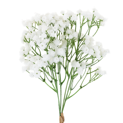 CV32934-1 gypsophila, kytice X5, ozdobná větvička s kvítky do vázy či aranžmá