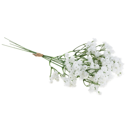 CV32934-1 gypsophila, kytice X5, ozdobná větvička s kvítky do vázy či aranžmá