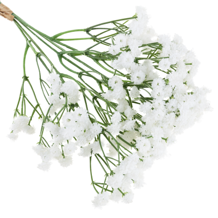 CV32934-1 gypsophila, kytice X5, ozdobná větvička s kvítky do vázy či aranžmá