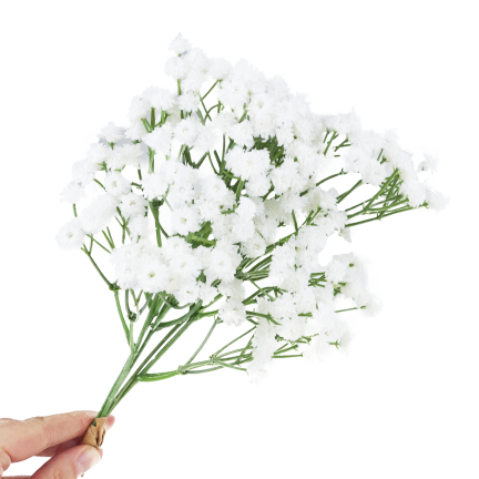 CV32934-1 gypsophila, kytice X5, ozdobná větvička s kvítky do vázy či aranžmá