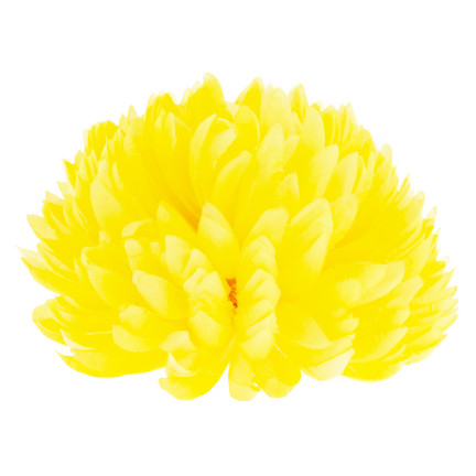 CV36941-6 velká chryzantéma, výběrová, umělé květiny, žlutá chryzantéma, 12 cm