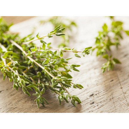 Z3035 THYMÁN SPRÁVNÁ SEMENA BYLINA KOŘENÍ AROMATICKÉ 0,3G