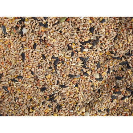 Směs pro volně žijící ptáky, celoroční krmivo, obilná semena, Turdus 1 kg