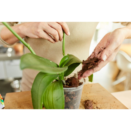 BIO8 přírodní substrát pro orchideje, 3 l, Biovita