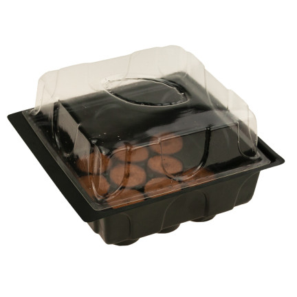 EDA8549 mini skleník, pařeniště pro klíčení, klíčící box, sazenice, 12 komor + podložky