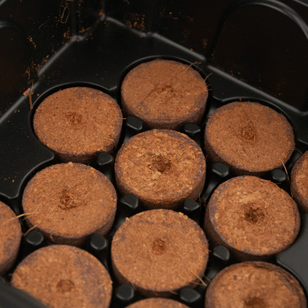 EDA8549 mini skleník, pařeniště pro klíčení, klíčící box, sazenice, 12 komor + podložky