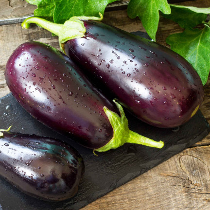 W1003 SEMENA LILKU BLACK BEAUTY PURPLE PEAR OF LOVE 1G