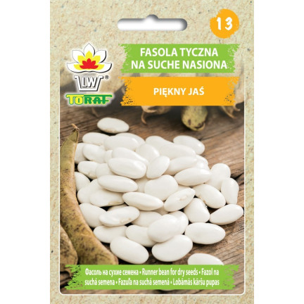 W2016 fazole tyčková „Piękny Jaś“, fazolová semena, pro suchá zrna, velká fazolová semena 25 g