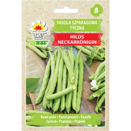 W1046 fazolky šparglové, tyčkové, zelené lusky, odrůda Hilds Neckarkönigin, semena fazolí, 10 g