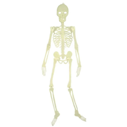 Závěsná kostra, fluorescenční, svítící ve tmě, halloweenská dekorace, 140 cm